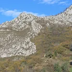 Rosales